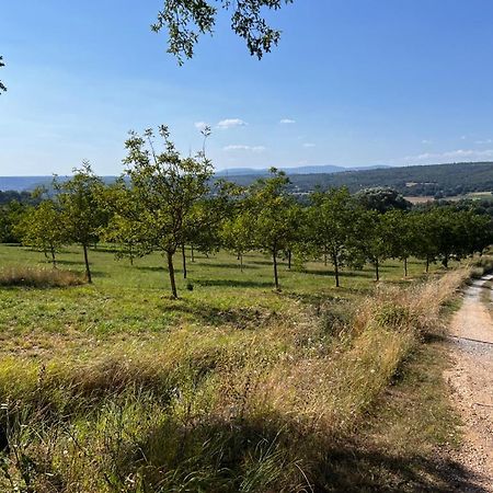 Bed and Breakfast Bergerie Montjustin Exterior foto