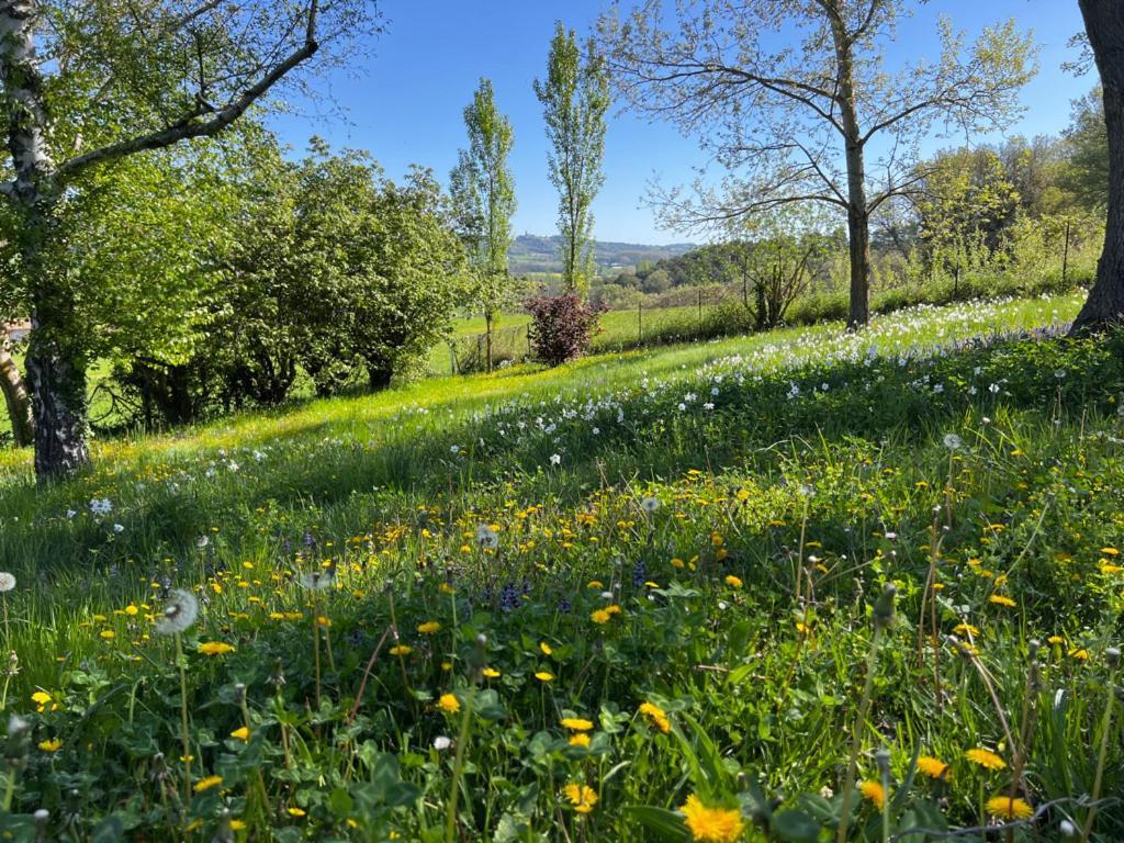 Bed and Breakfast Bergerie Montjustin Exterior foto